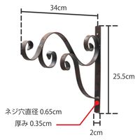 ポッシュリビング ウォールハンガー W2×D34×H25.5cm アイアン 63196 1個（直送品）