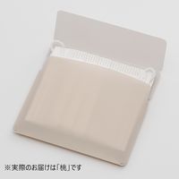 【アウトレット】リヒトラブ マスクケース(S) モモ A-100-12 1枚