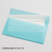 【アウトレット】リヒトラブ マスクケース(L) モモ A-120-12 1枚
