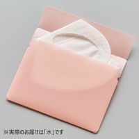 【アウトレット】リヒトラブ マスクケース(M) ミズ A-110-14 1セット(5枚)