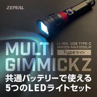 ゼピール LEDライトセット マルチギミックZ Typeライト ZLHー10JA（K） 1台