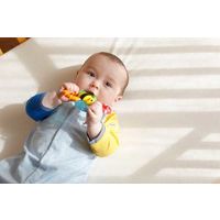 Sassy サッシー カミカミみつばち 1個