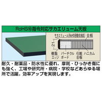 サカエ RoHS10対応オプション天板 KKー9060FTEC 1台(1個)（直送品）