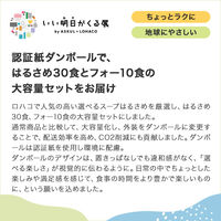 【アソート】選べるスープはるさめ＆フォー 40食 1箱(はるさめ30食+フォー10食) ひかり味噌 限定