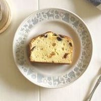 カクセー 森の仲間たち 55皿ペア MO-006 1セット（直送品）