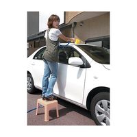 小原産業 プラステップ 一体型踏み台 ベージュ 380mm×285mm×290mm ST-329 1個 63-7934-62（直送品）