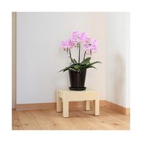 小原産業 プラスチック万能台 正方形 ベージュ 300mm×280mm×200mm ST-429 1個 63-7934-56（直送品）