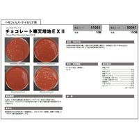 島津ダイアグノスティクス アキュレート(TM)チョコレート寒天培地―EXII10枚 51053 1個(10枚) 65-9404-81（直送品）