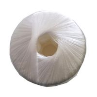 宮島化学工業 PPテープ 白 50mm×400m CT041 1巻 63-7917-91（直送品）