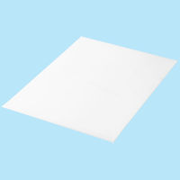 アスクル　クリアホルダー　A2　1袋（10枚）　再生　ファイル オリジナル（わけあり品）