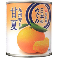 明治屋 日本のめぐみ 九州育ち 甘夏 1セット（2個）