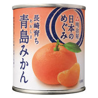 明治屋 日本のめぐみ 長崎育ち 青島みかん 3個