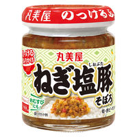 丸美屋 のっけるふりかけ ねぎ塩豚そぼろ 瓶入 100g　1セット（1個×6）