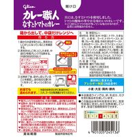 グリコ　カレー職人　なすとトマトのカレー中辛　1個