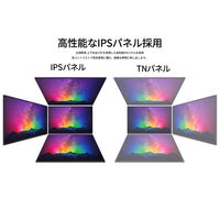 JAPANNEXT 21.5インチ液晶モニター 上下昇降機能/画面回転機能 JN-I215F-HSP 1台