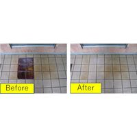 ビアンコジャパン ビアンコ ブリーチング・スピリッツ・ペースト(25kg) BS-101P-25KG 1箱 558-2490（直送品）