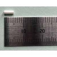 坂口電熱 マイクロセラミックヒーター用アルミナ碍子 Φ1.6×Φ1.0×5L 20個入 ALMS 1袋(20個) 67-4714-38（直送品）