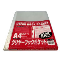 ビュートン クリヤーブックポケットA4ー100枚 CPS-A4-100 1セット(1パック×2)