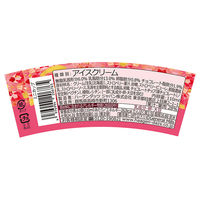 [アイス] ハーゲンダッツジャパン ミニカップ 苺のトリュフ 110ml×6個 4976994206765 1セット(6個)（直送品）