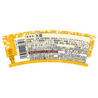 [アイス]ハーゲンダッツ GREENCRAFT 豆乳バナナショコラ110ml×6 4976994206796 1セット(6個)（直送品）