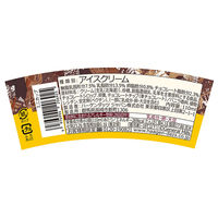 [アイス]ハーゲンダッツ ミニ バニラチョコレートサンデー 110ml×36 4976994206925 1セット(36個)（直送品）