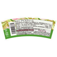 ハーゲンダッツ ジャパン [アイス] ミニカップ 抹茶&ブラウニー 110ml×36個 4976994206871 1セット(36個)（直送品）