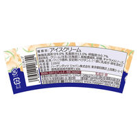 [アイス]ハーゲンダッツ ミニ キャラメルロイヤルミルクティー 110ml×6個 4976994206802 1セット(6個)（直送品）