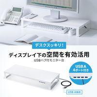 サンワサプライ USBハブ付モニター台(ホワイト) MR-LC215W 1個（直送品）