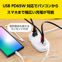 ナカバヤシ モバイルUSB-ACタップ PD対応 65W ホワイト JYU-ACU012W 1個