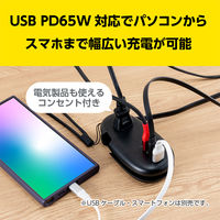 ナカバヤシ モバイルUSB-ACタップ PD対応 65W ブラック JYU-ACU012BK 1個