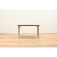 【軒先渡し】HIKARI ワークカフェダイニング ダイニングテーブル DLT-アリカ 120-WDテンバン/ウッドレッグ 1台（直送品）