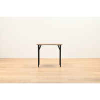 【軒先渡し】HIKARI ワークカフェダイニング ダイニングテーブル DLT-アリカ EX.-WDテンバン/スチールレッグBK 1台（直送品）