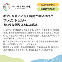 【限定デザイン】 グラデーションギフトバッグ HAND 限定