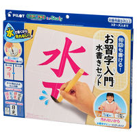 パイロット スイスイおえかき for Study 何回も書ける！お習字入門水書きセット 水で書ける習字 習字 1823115 1個