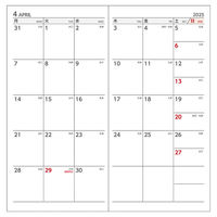 ダイゴー 【2025年版】ハンディピック ラージ 月間ブロック 平日重視 グリーン E1092 1セット(1冊×3)（直送品）