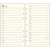 ダイゴー 【2025年版】システム手帳リフィル バイブル 6穴 月間ホリゾンタル E1356 1セット(1冊×2)（直送品）