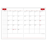 ダイゴー 【2025年版】アポイント デスクサイズ B5 1週間見開き ブラック E1339 1冊（直送品）