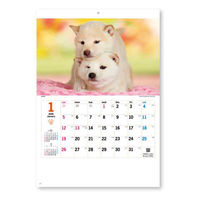 新日本カレンダー 【2025年版】壁掛カレンダー サンキュー・ドッグ 46/8切 NK8454 1冊（直送品）