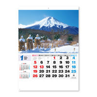 新日本カレンダー 【2025年版】壁掛カレンダー 四季の日本 46/4切 NK8087 1冊（直送品）