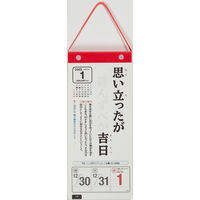 高橋書店 【2025年版】日めくり型 ことわざカレンダー A4変型 縦長 E511 1冊（直送品）
