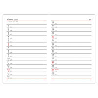 ダイゴー 【2025年版】アポイント 手帳サイズ 1週間+横罫 ブラック E1008 1冊（直送品）