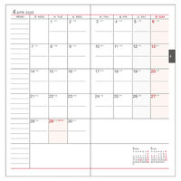 ダイゴー 【2025年版】アポイント ライト 手帳サイズ スリム 1週間+横罫 ブラウン E8443 1冊（直送品）