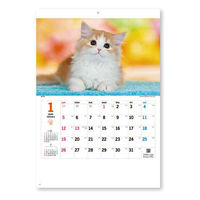 新日本カレンダー 【2025年版】壁掛カレンダー サンキュー・キャット 46/8切 NK8455 1冊（直送品）