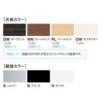 【軒先渡し】ニシキ工業 ビッグテーブル 幅4000×奥行1400×高さ720mm ウォールナット AGHT-S4014W-WN 1台（直送品）