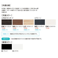 【軒先渡し】ニシキ工業 ビッグテーブル 幅2800×奥行1200×高さ720mm オフホワイト ALNE-B2812W-OW 1台（直送品）