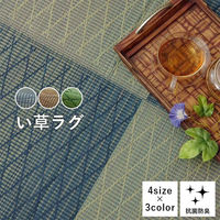 イケヒコ・コーポレーション ダイヤ い草ラグ 無地 1900×1900mm グリーン 1070811123211 1枚（直送品）