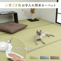 イケヒコ・コーポレーション 洗える ござ 日本製 国産 カーペット リバーシブル 除菌スプレー対応『ミーサ』 1090740020802 1枚