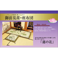 イケヒコ 蓮の花 い草御前 ござ 880×1800mm 1131860014002 1枚（直送品）