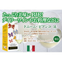 イタリア ドニーニ・ビアンコ BIB 3L 白ワイン 辛口 1本　モンテ物産