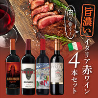 イタリア　肉に合う！ 旨濃いイタリア赤ワイン4本セット 1セット（750ml×4本）　モンテ物産 飲み比べ